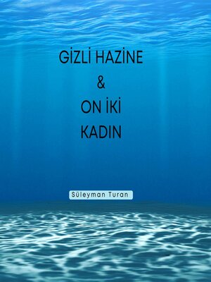 cover image of Gizli Hazine ve On İki Kadın